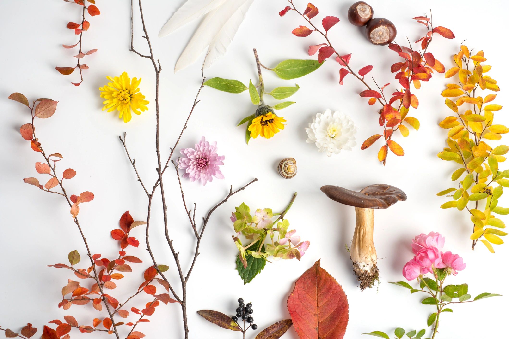 Colorful floral still life arrangement