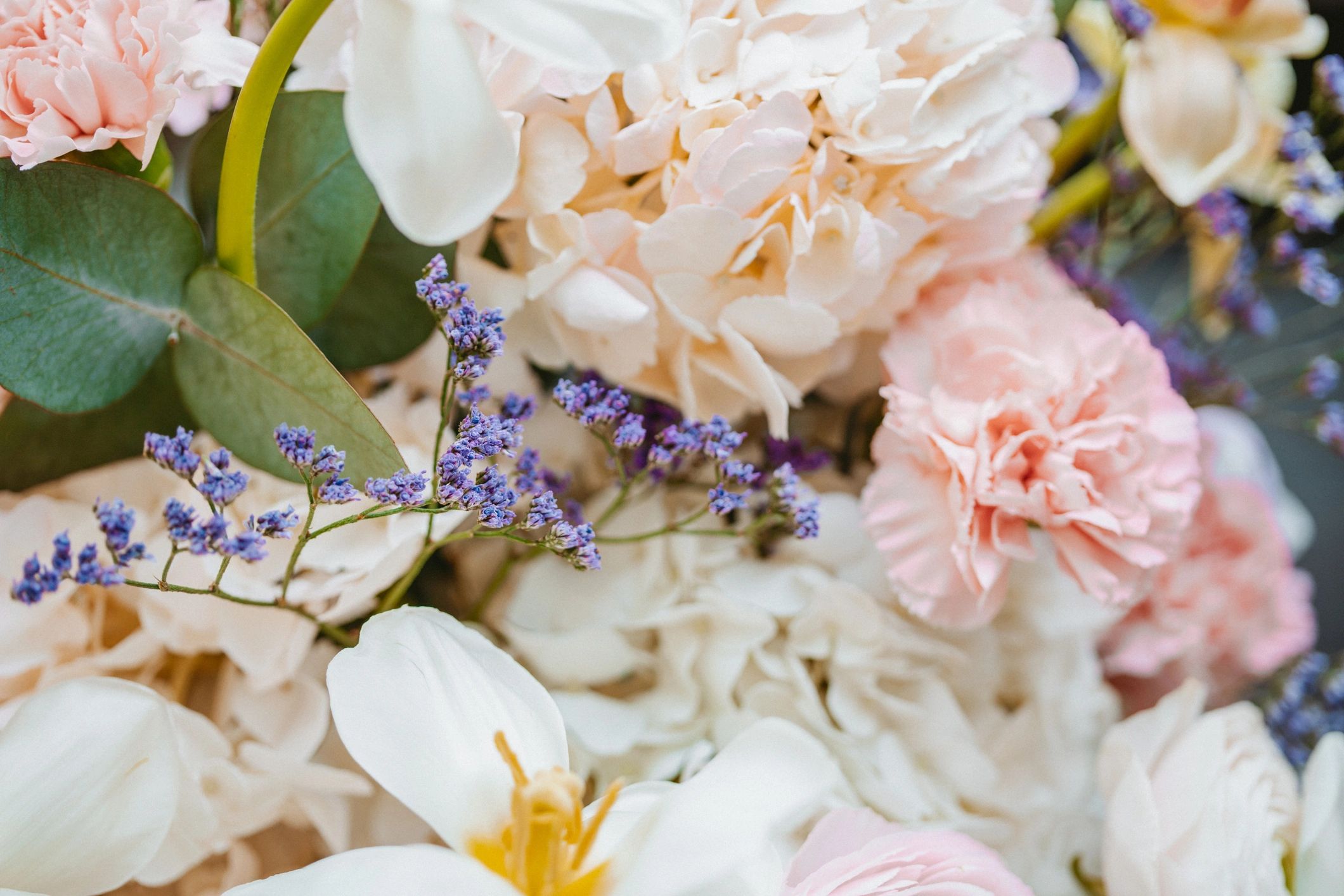 Colorful fresh bouquet close-up