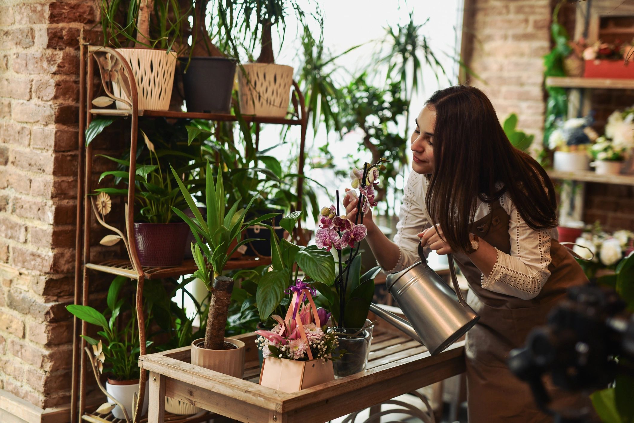 Florist caring for plants in a flower shop